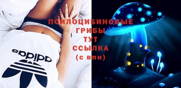 герыч Вяземский