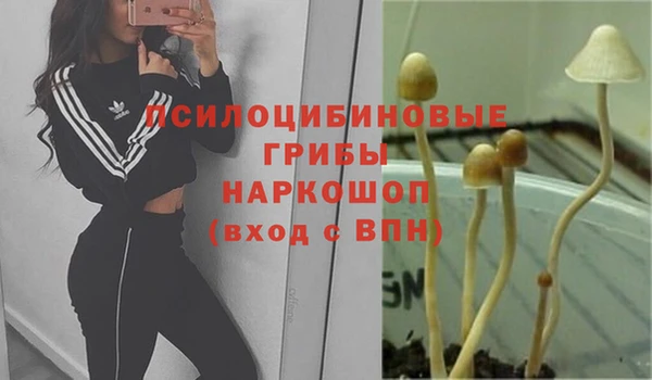 мескалин Горняк