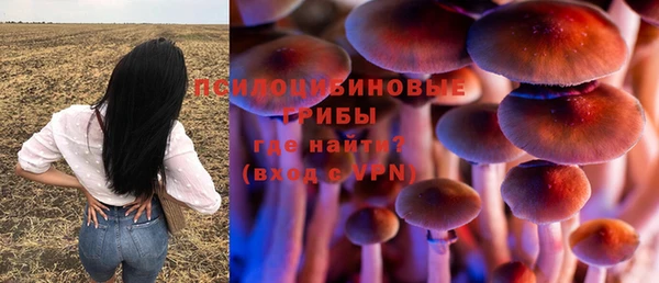 герыч Вяземский